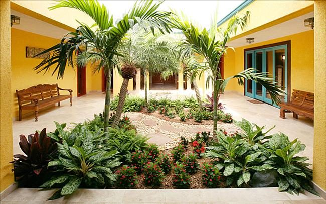 Tropical Breeze photo 3