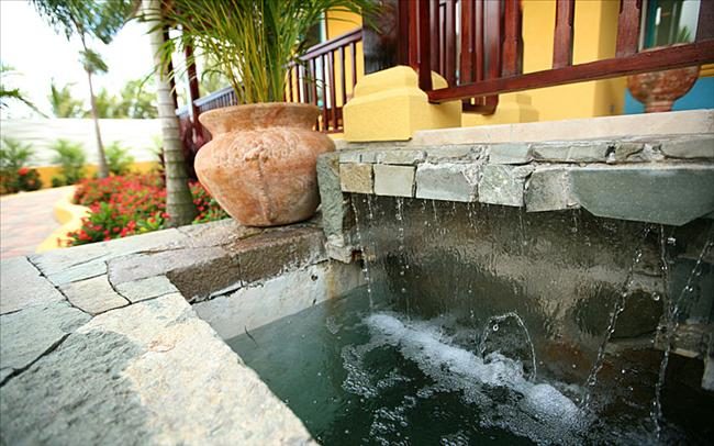 Tropical Breeze photo 12