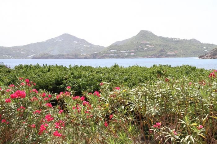 Rosebud Villa photo 17