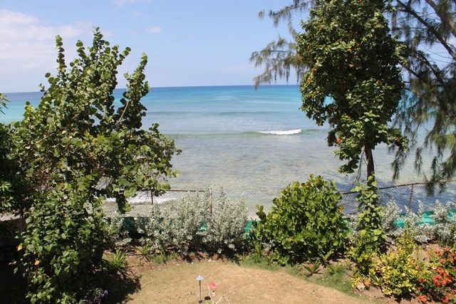 Secret Cove 4 photo 2