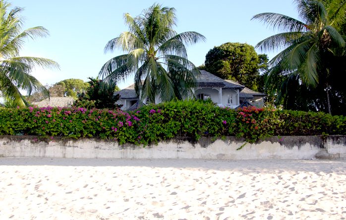 Emerald Beach 5 Aspicia photo 5