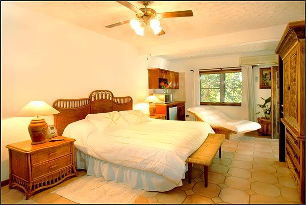 Villa Coyaba photo 16