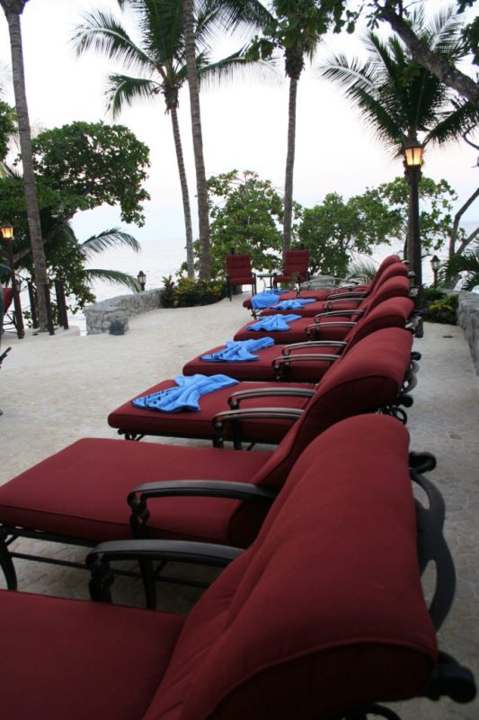 Palacio Tropical photo 14
