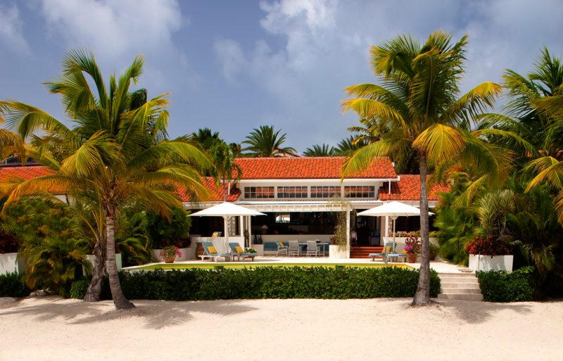 Sea Pigeon at Jumby Bay photo 2