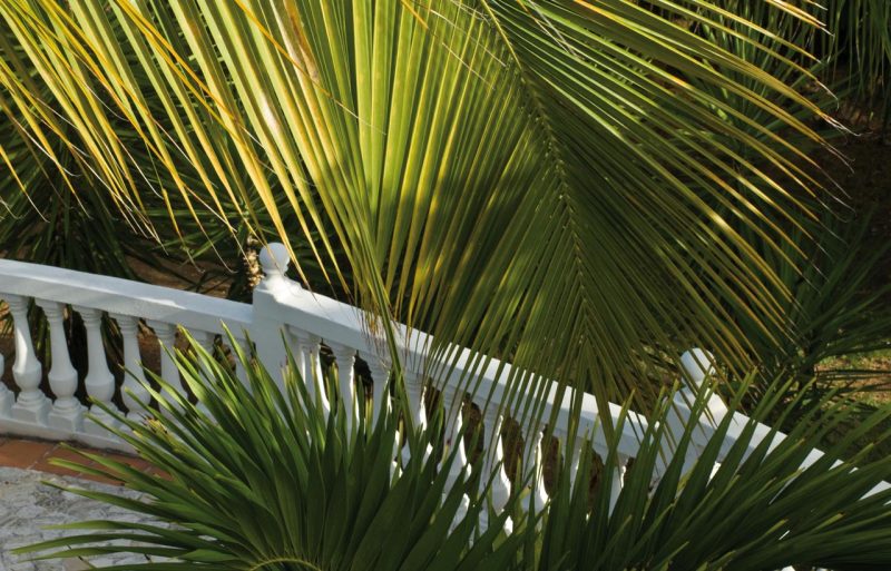 Villa Belle Mer photo 27