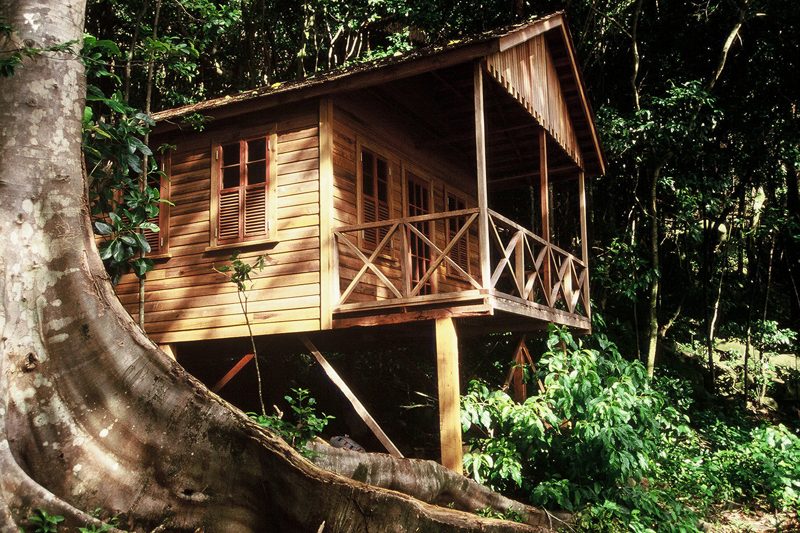 Jungle Bay photo 1