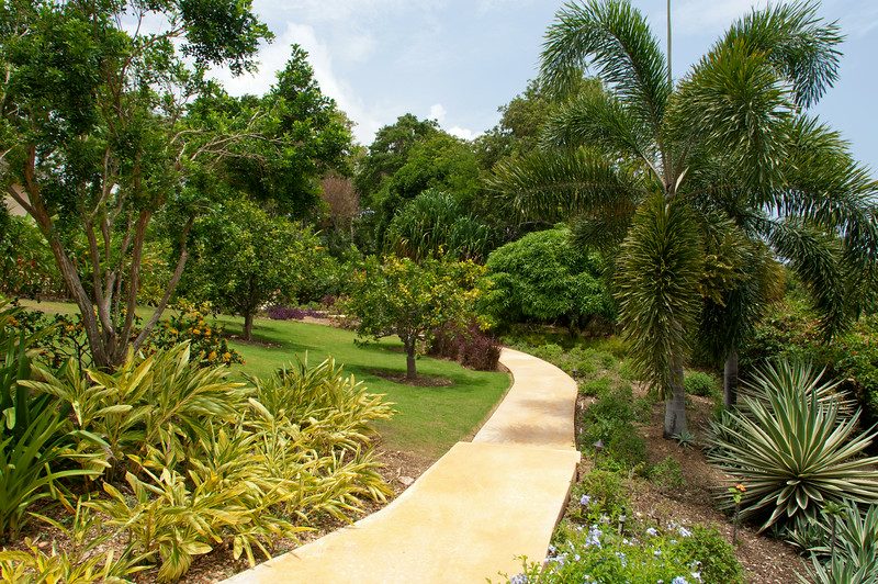 Kenyan Sunset Golf Villa in Rose Hall photo 8