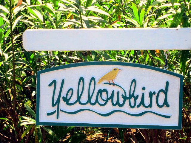 Yellowbird at the Tryall Club photo 29