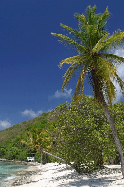 Sea Grape Cottage photo 2