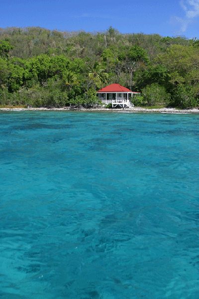 Sea Grape Cottage photo 7