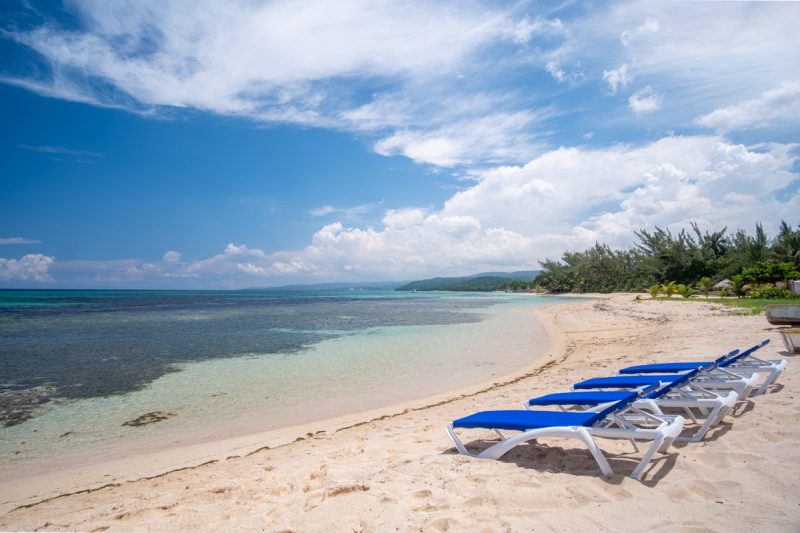 Seven Seas on the Beach photo 12
