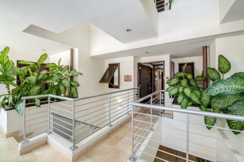 Shutters at Coral Cove photo 19