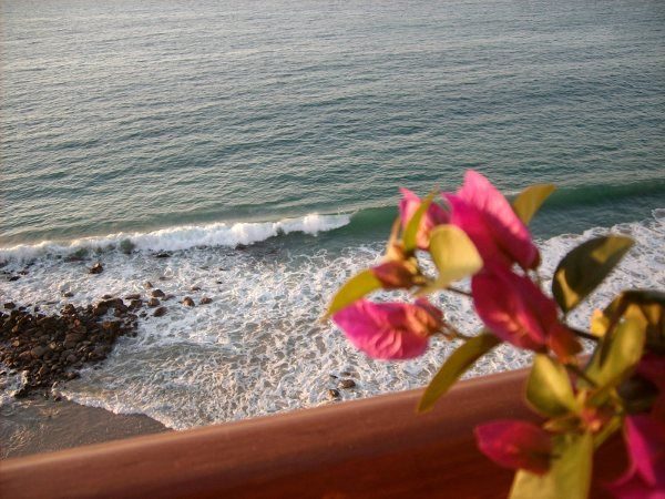 Los Palmares Condo photo 9