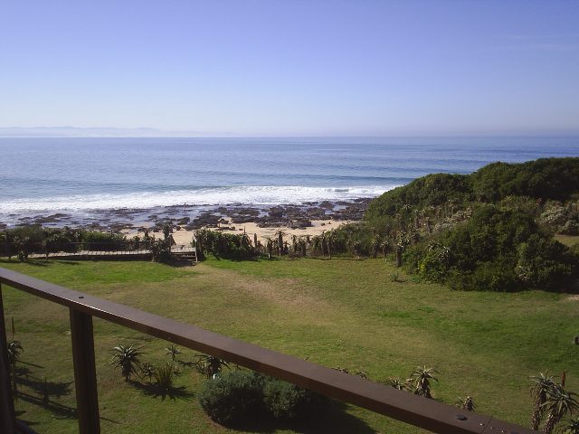 Dolphin House photo 15